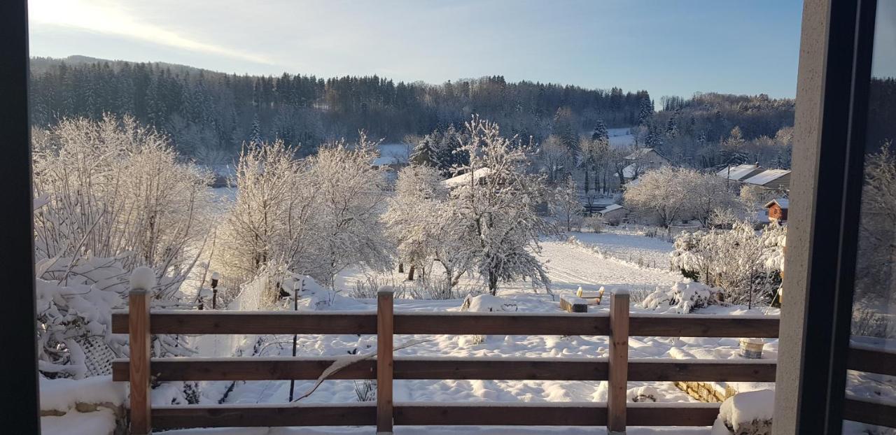 Le Jura En Toutes Saisons Piscine, Spa, Location Vtt, Balades 2Cv, Climatisation Bonlieu Екстер'єр фото