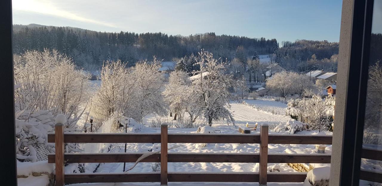 Готель Le Jura En Toutes Saisons Piscine, Spa, Location Vtt, Balades 2Cv, Climatisation Bonlieu Екстер'єр фото