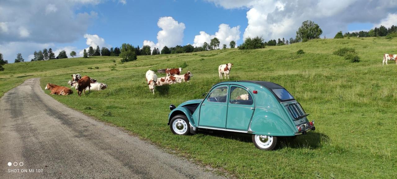 Готель Le Jura En Toutes Saisons Piscine, Spa, Location Vtt, Balades 2Cv, Climatisation Bonlieu Екстер'єр фото