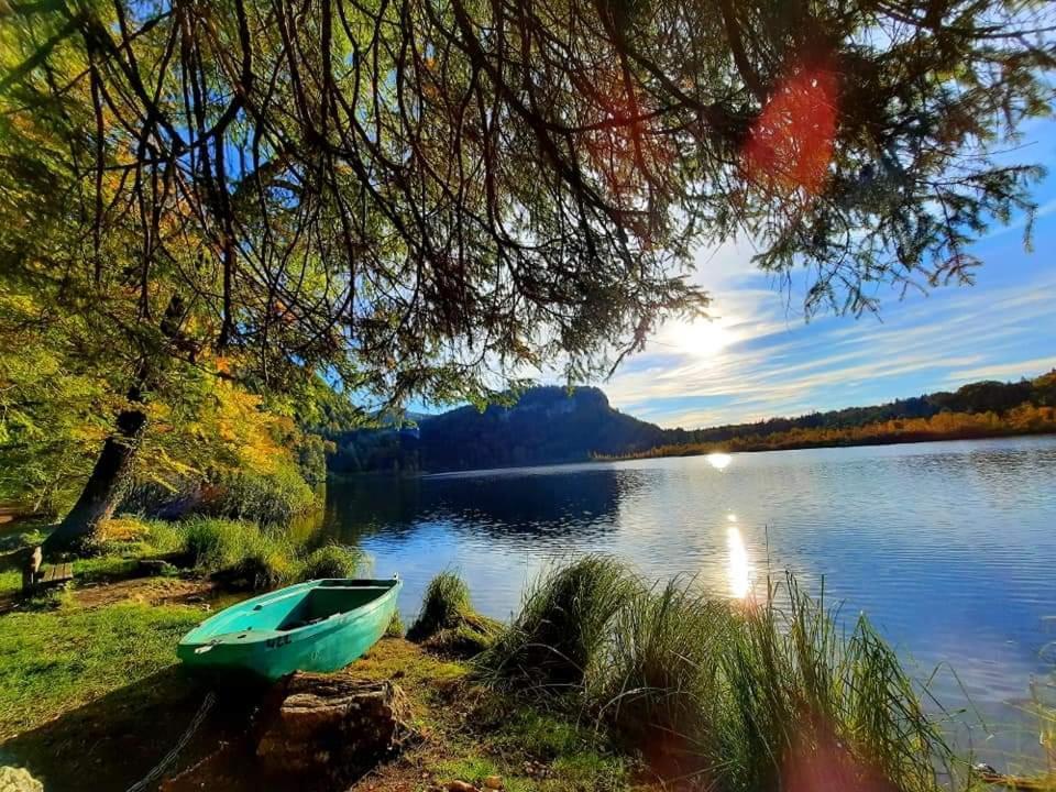 Готель Le Jura En Toutes Saisons Piscine, Spa, Location Vtt, Balades 2Cv, Climatisation Bonlieu Екстер'єр фото