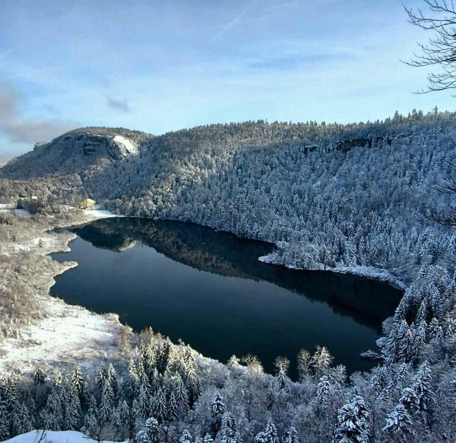 Готель Le Jura En Toutes Saisons Piscine, Spa, Location Vtt, Balades 2Cv, Climatisation Bonlieu Екстер'єр фото