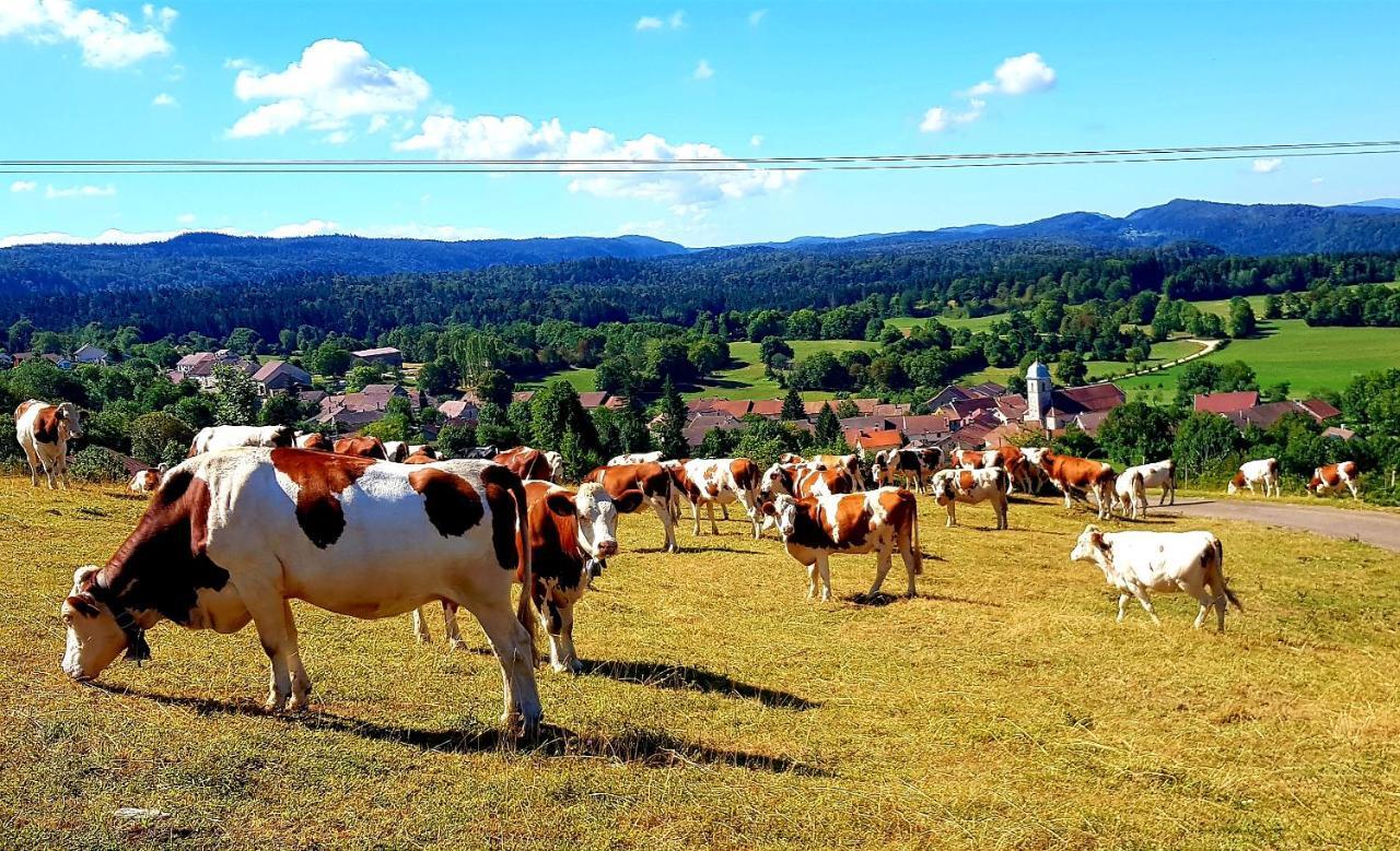 Le Jura En Toutes Saisons Piscine, Spa, Location Vtt, Balades 2Cv, Climatisation Bonlieu Екстер'єр фото